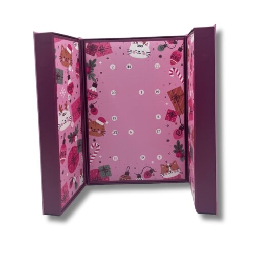 advent calendar pet food box