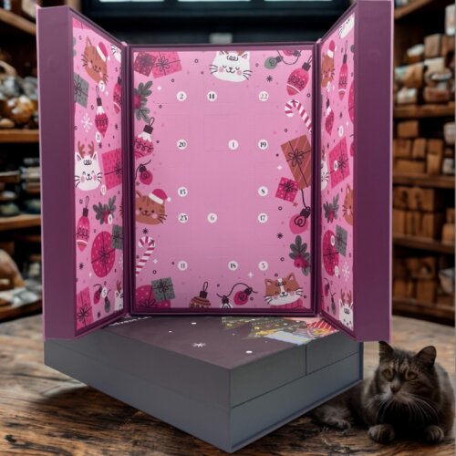 advent calendar pet food box